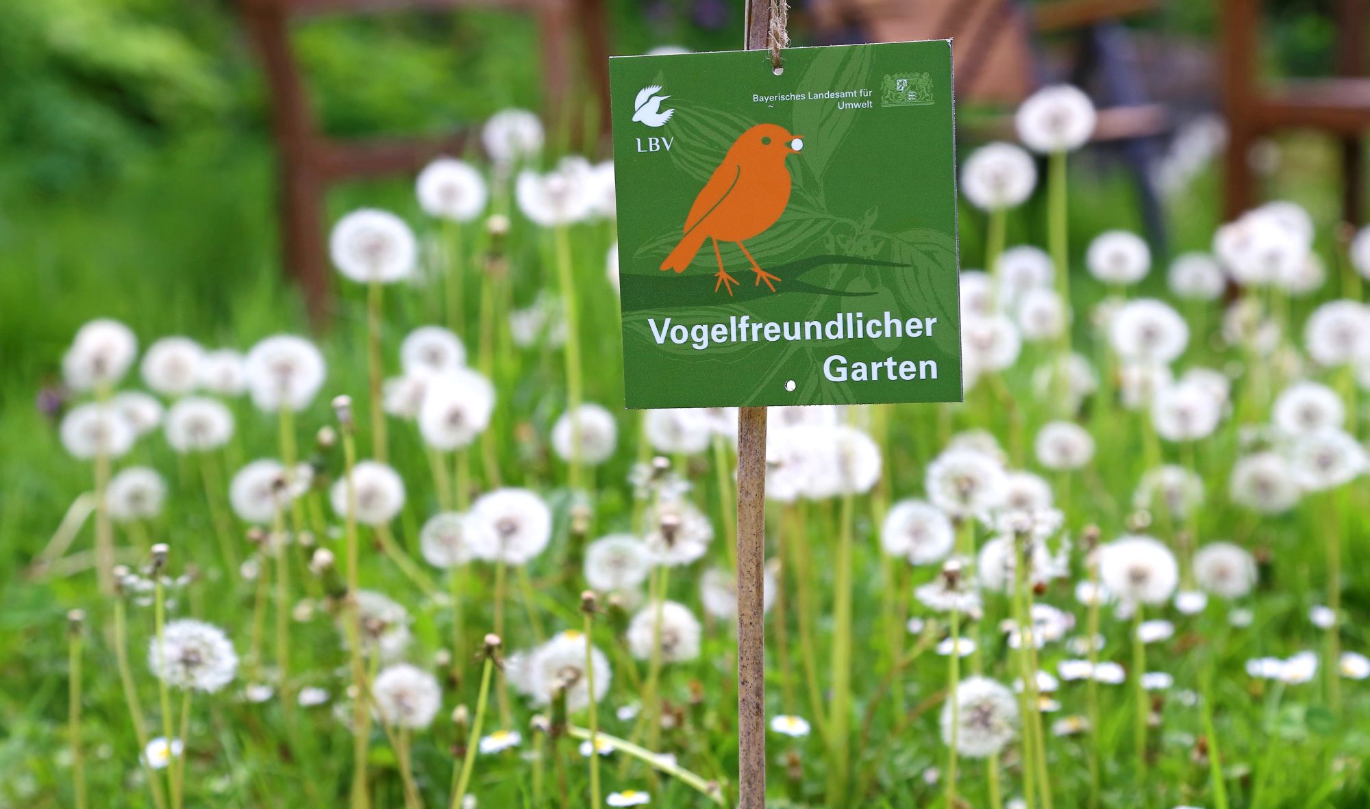 Projekt "Vogelfreundlicher Garten" Jetzt mitmachen! LBV Gemeinsam